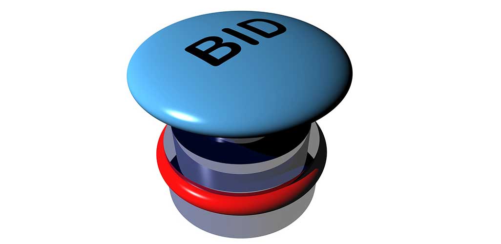 Auctions and Buying Safely Online